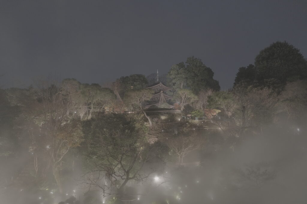 三重塔と東京雲海のライトアップ
