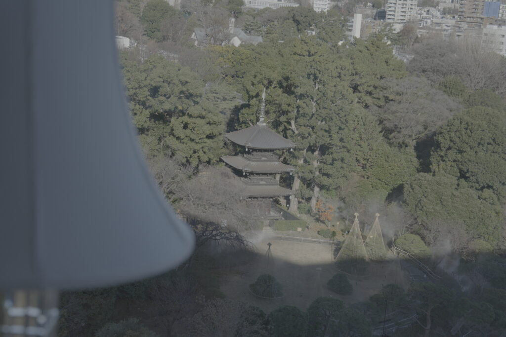 客室の窓から見える三重塔と庭園