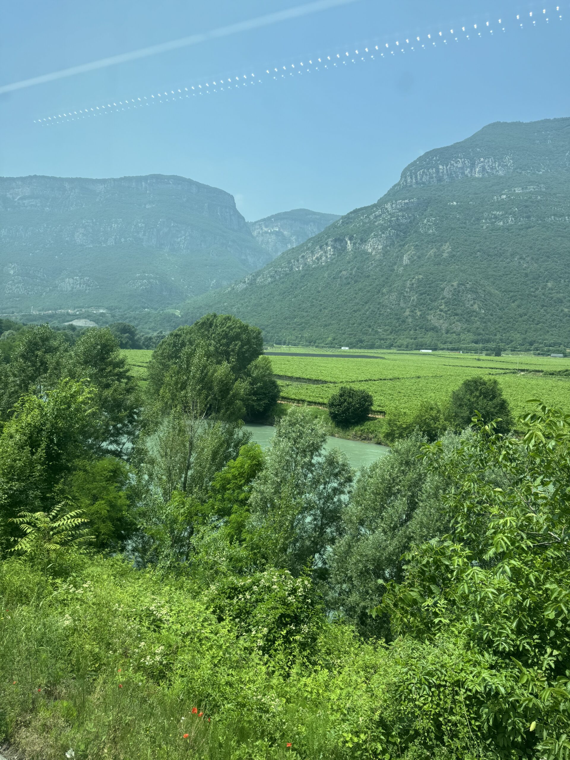車窓から見える緑の谷