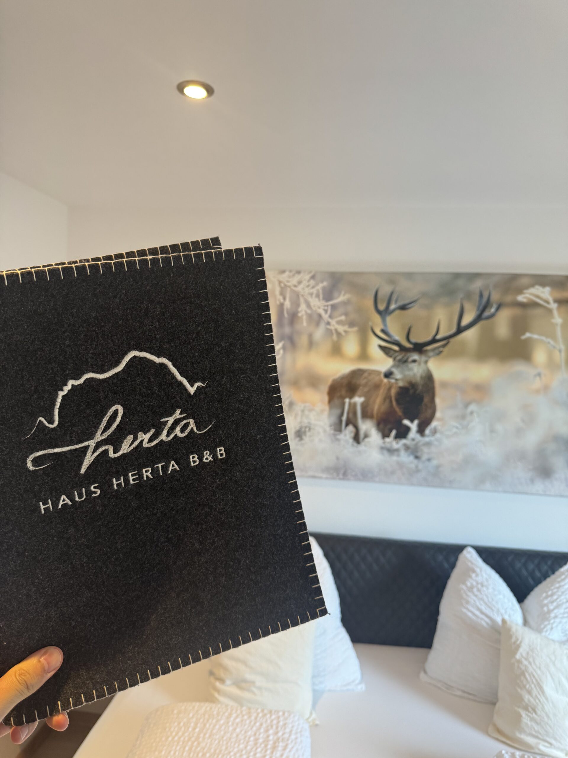 レストランのメニュー