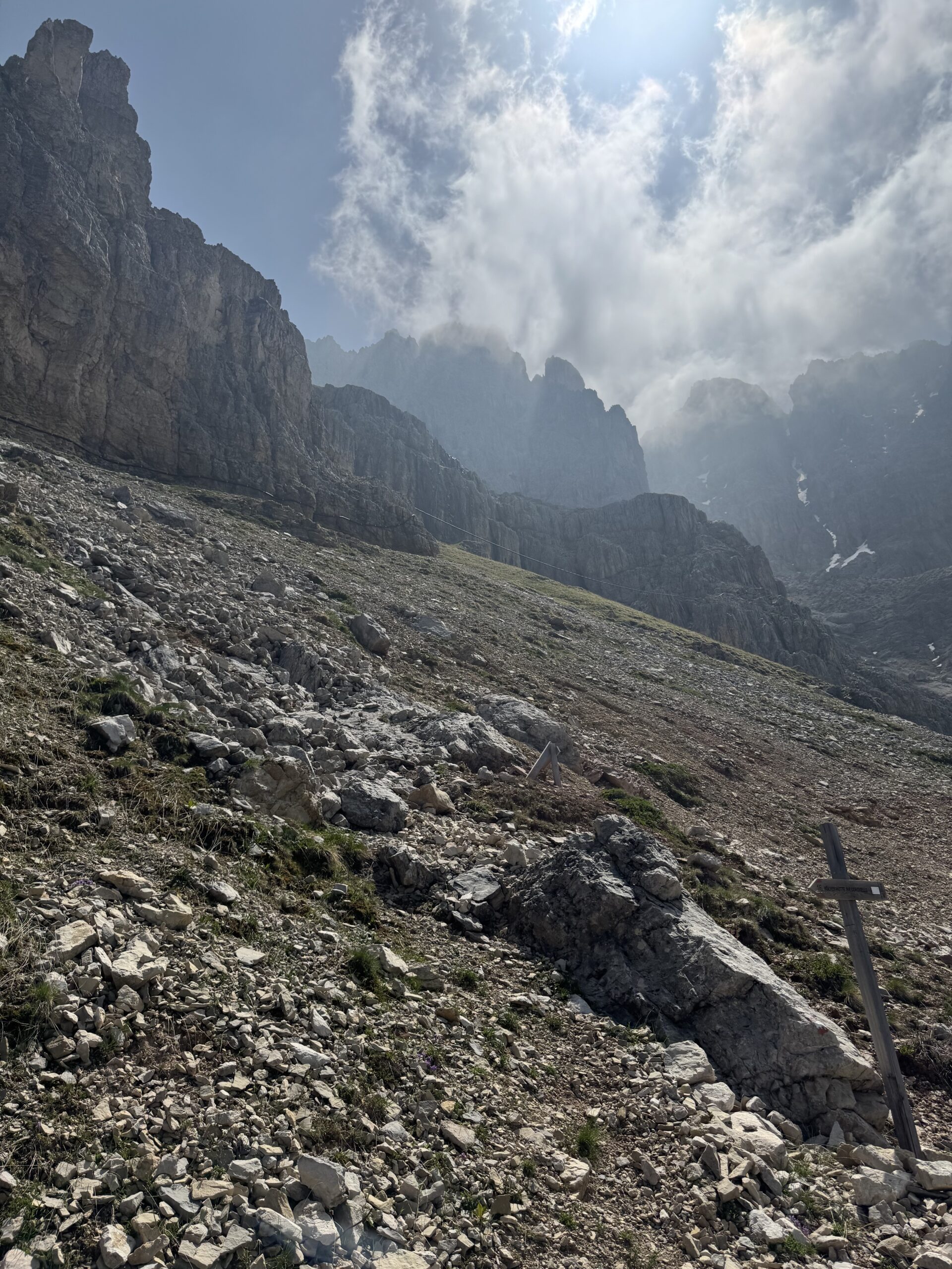 高山植物が咲く草原