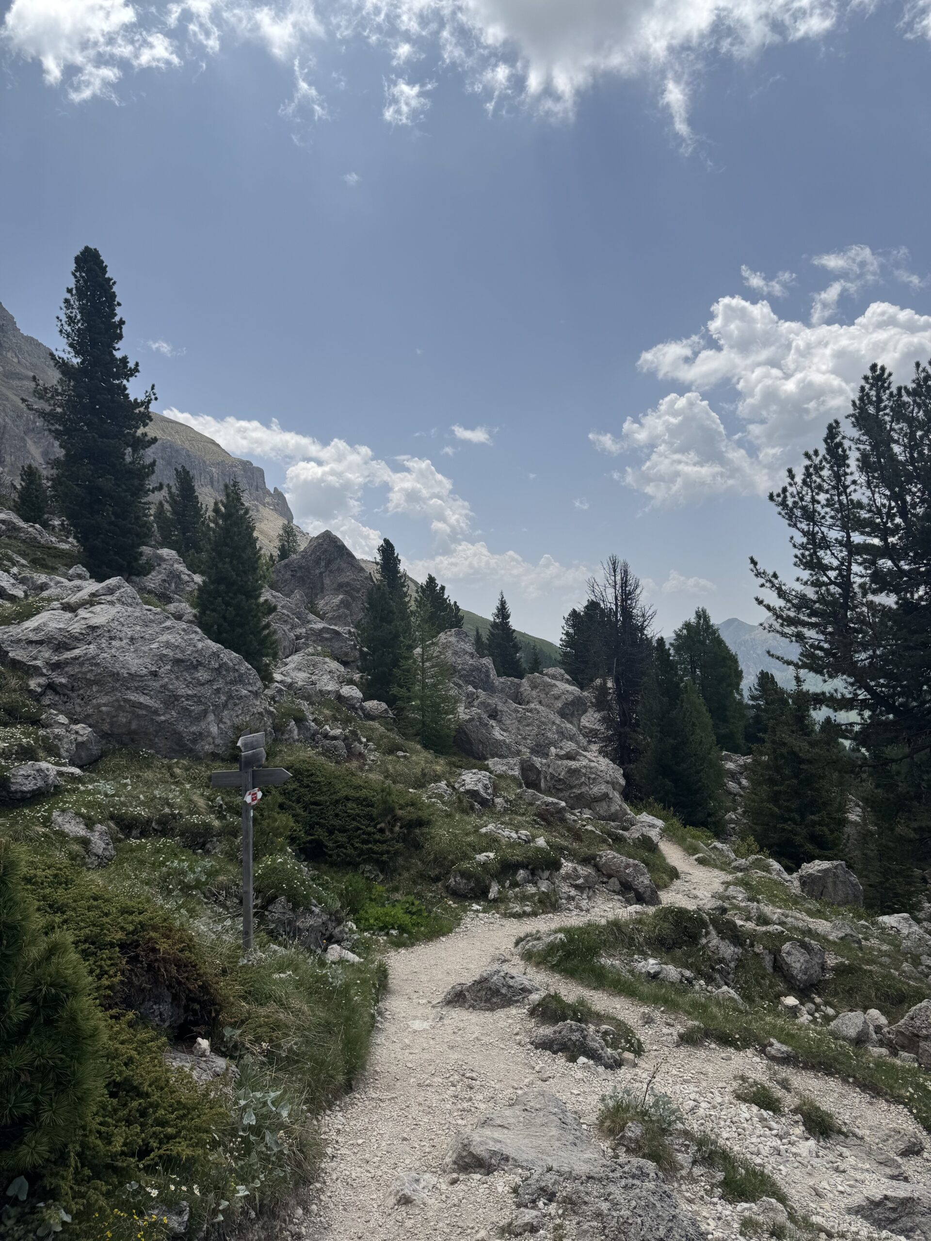 岩と緑のトレイル