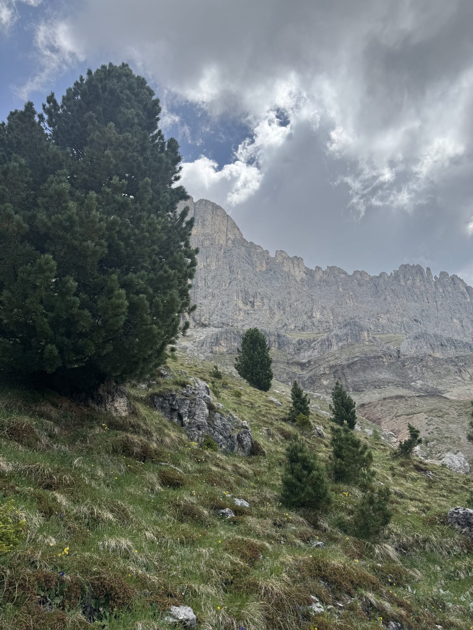 ドロミテの山並み