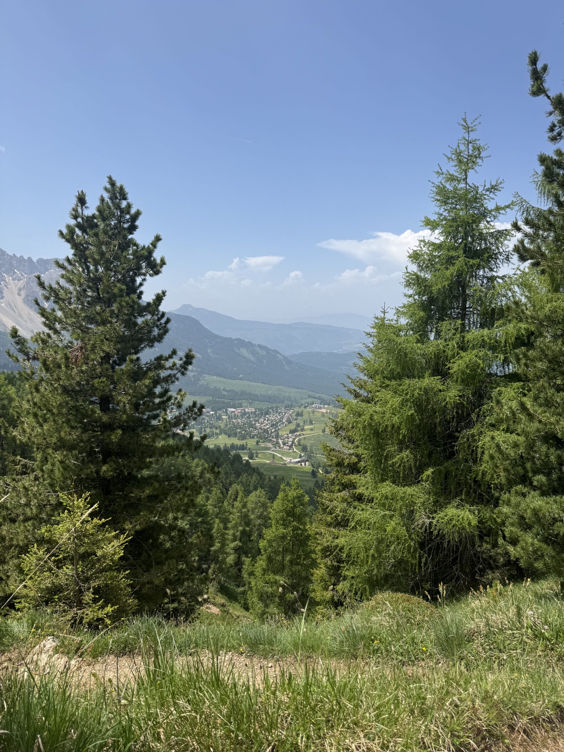 山の上でくつろぐ