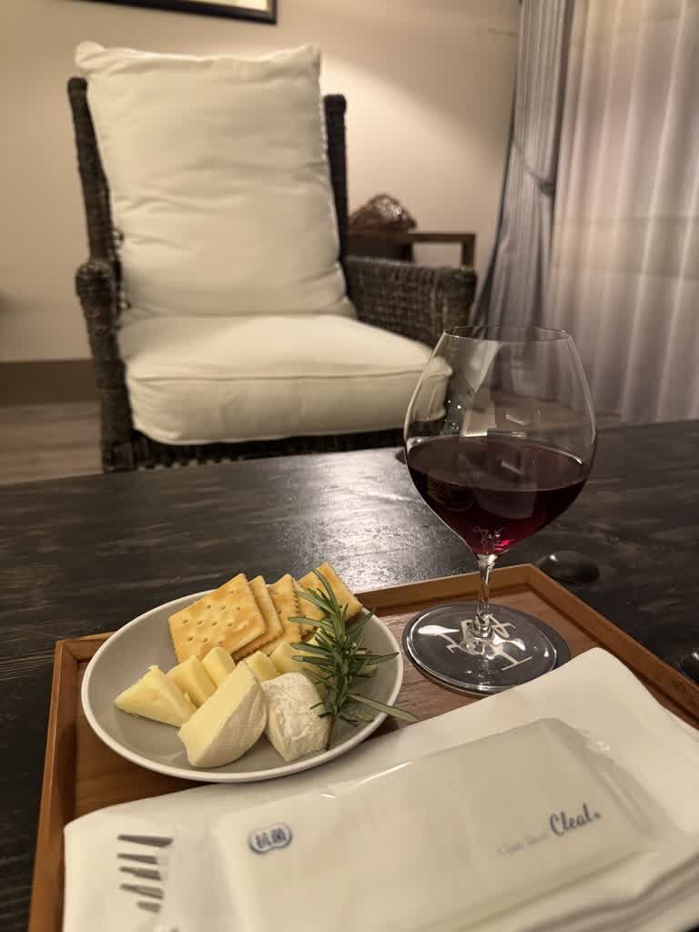 チーズと赤ワインで部屋飲み