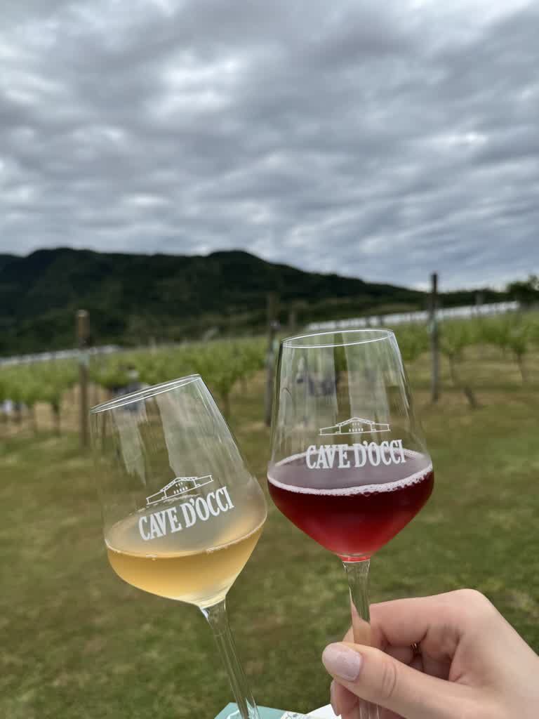 ぶどう畑で乾杯