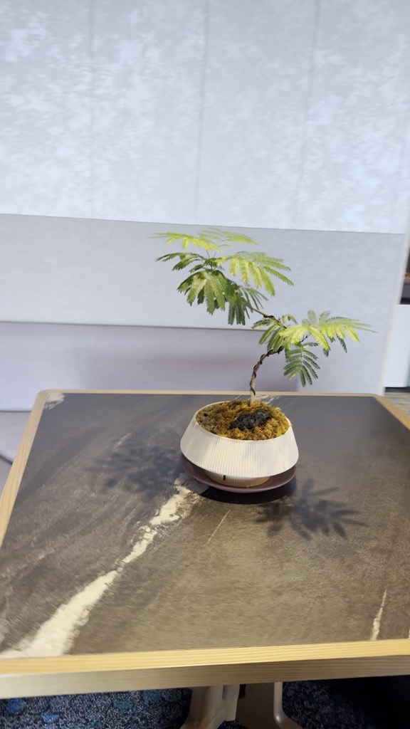 窓辺のテーブルに飾られた盆栽
